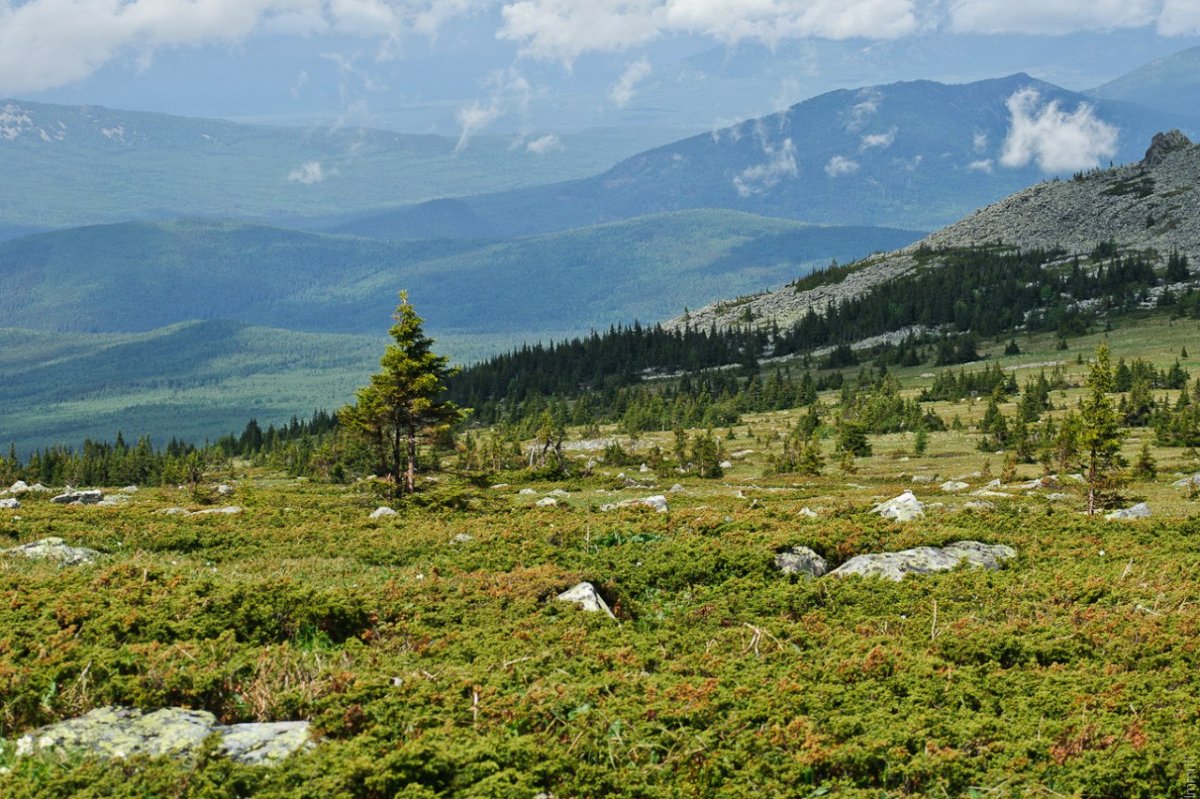 Иремель гора вершина