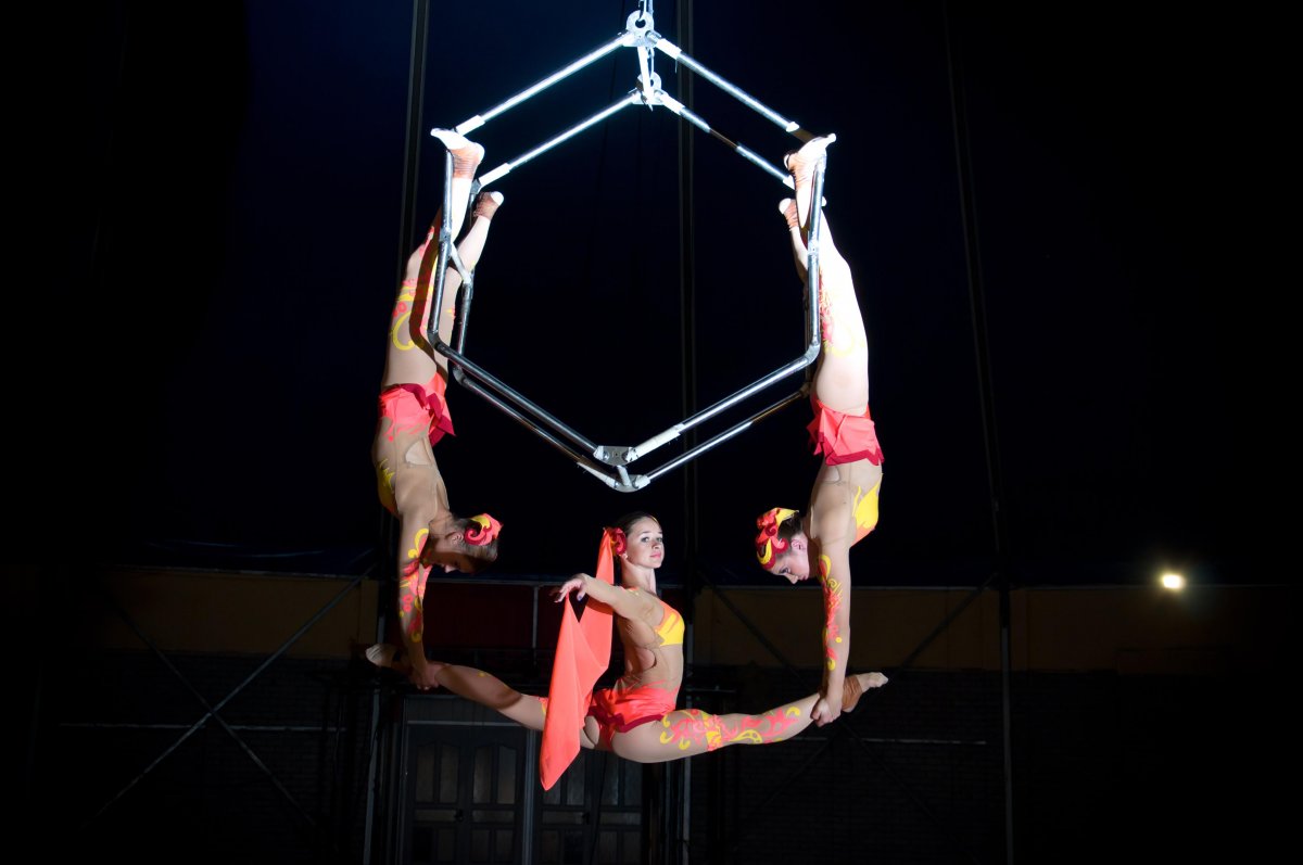 Джен Брикер воздушная гимнастка