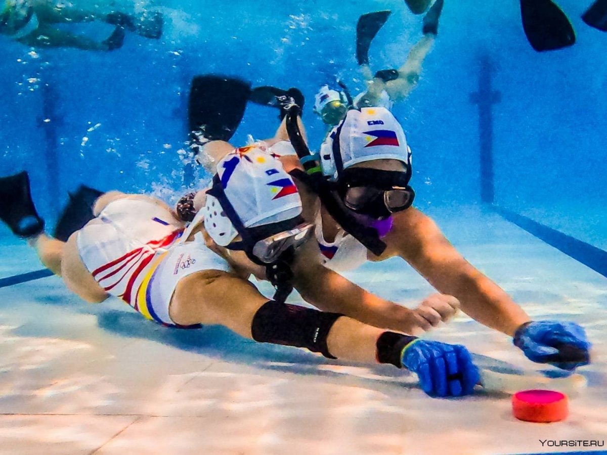 Подводный хоккей (Underwater Hockey)