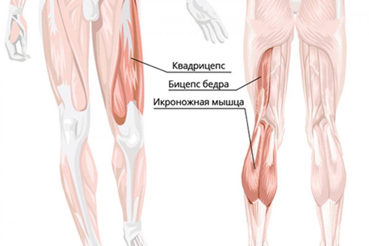 Разрыв четырехглавой мышцы бедра