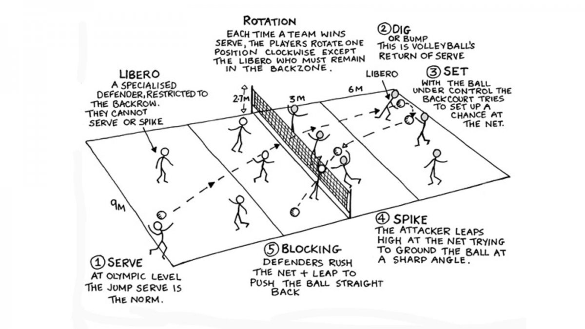 Либеро в волейболе схема позиция