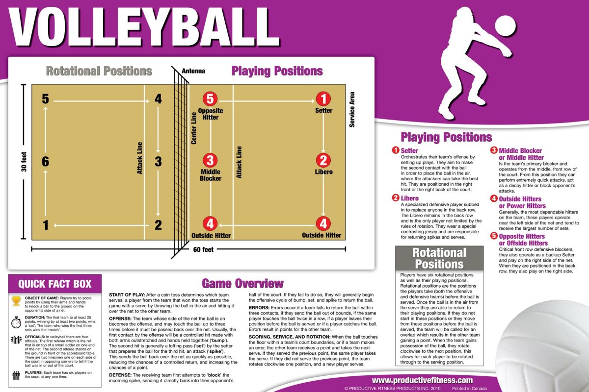 Volleyball positions