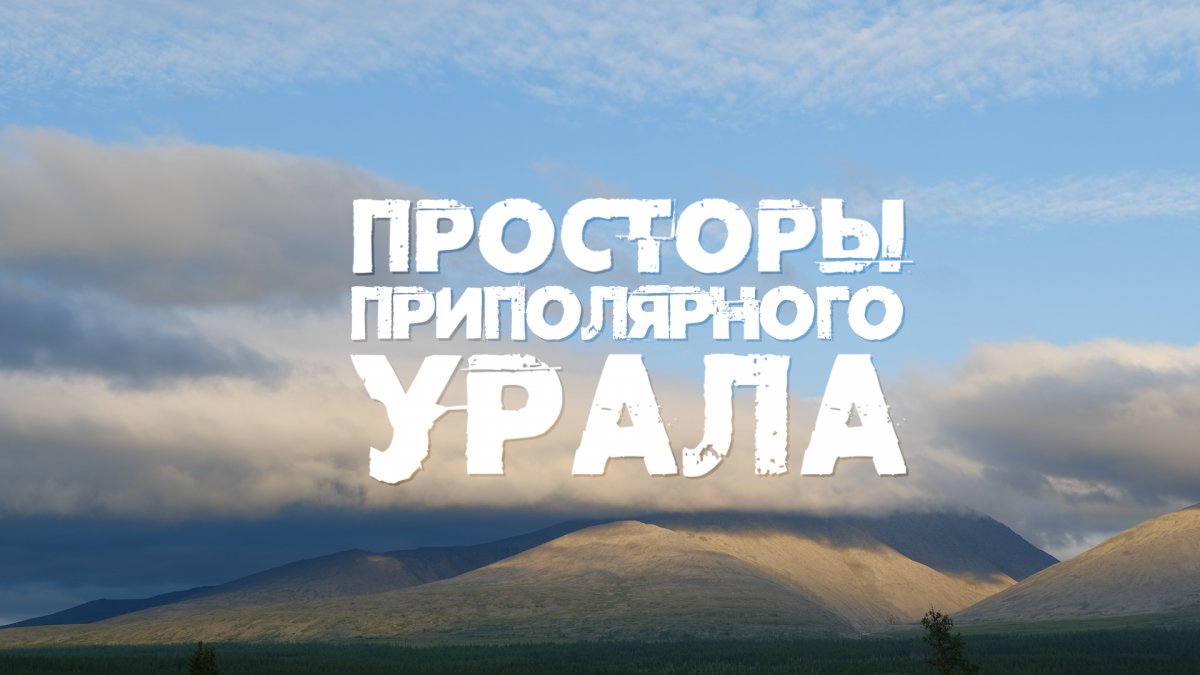 Гора отважная в Жигулёвске