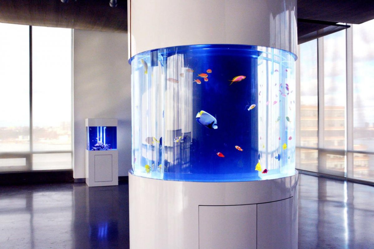 бар аквариум