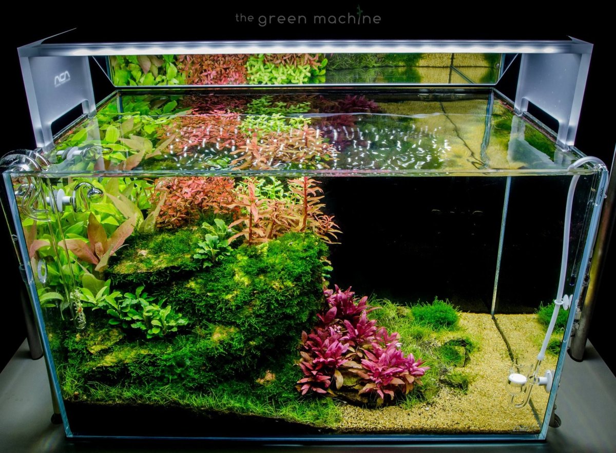 Green Machine аквариум