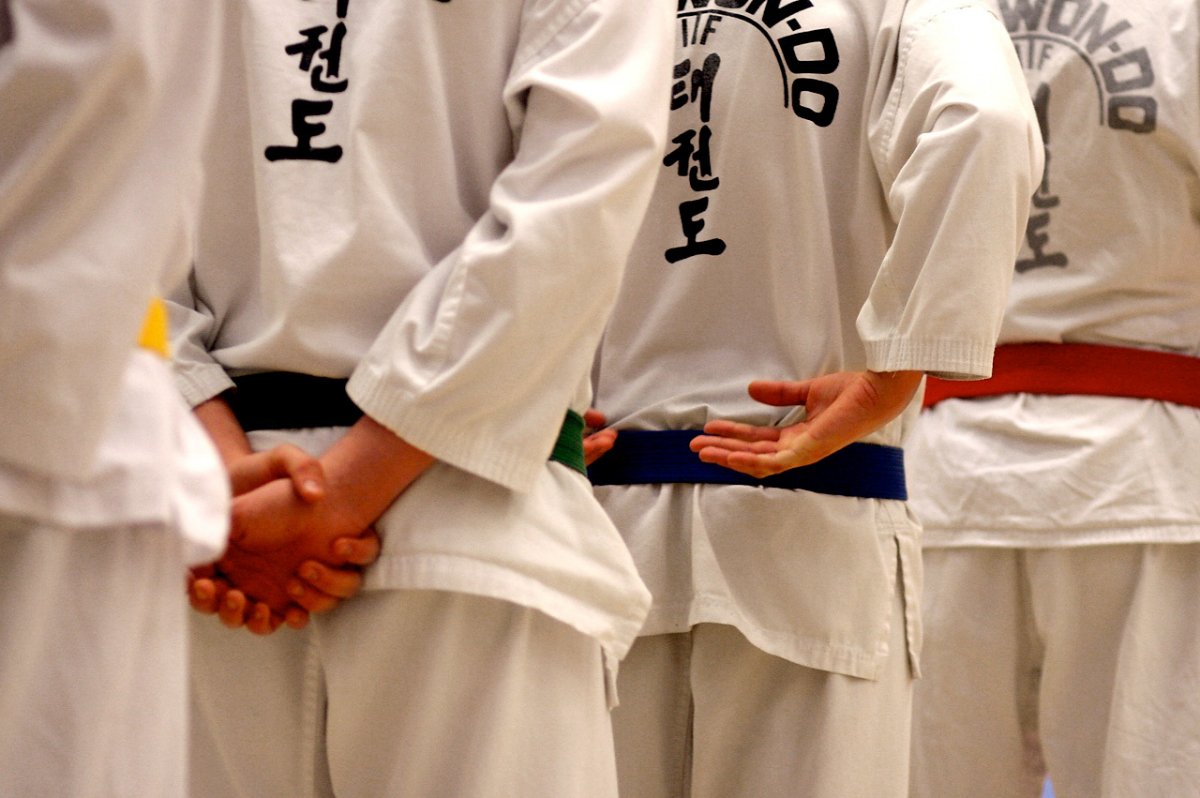 Эстетика тхэквондо ИТФ