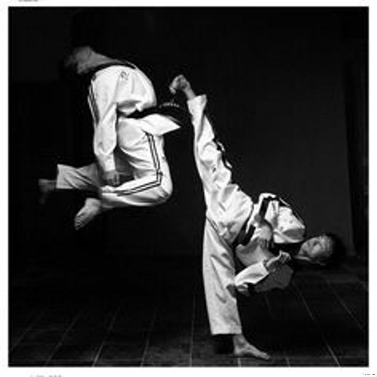 Хапкидо Эстетика