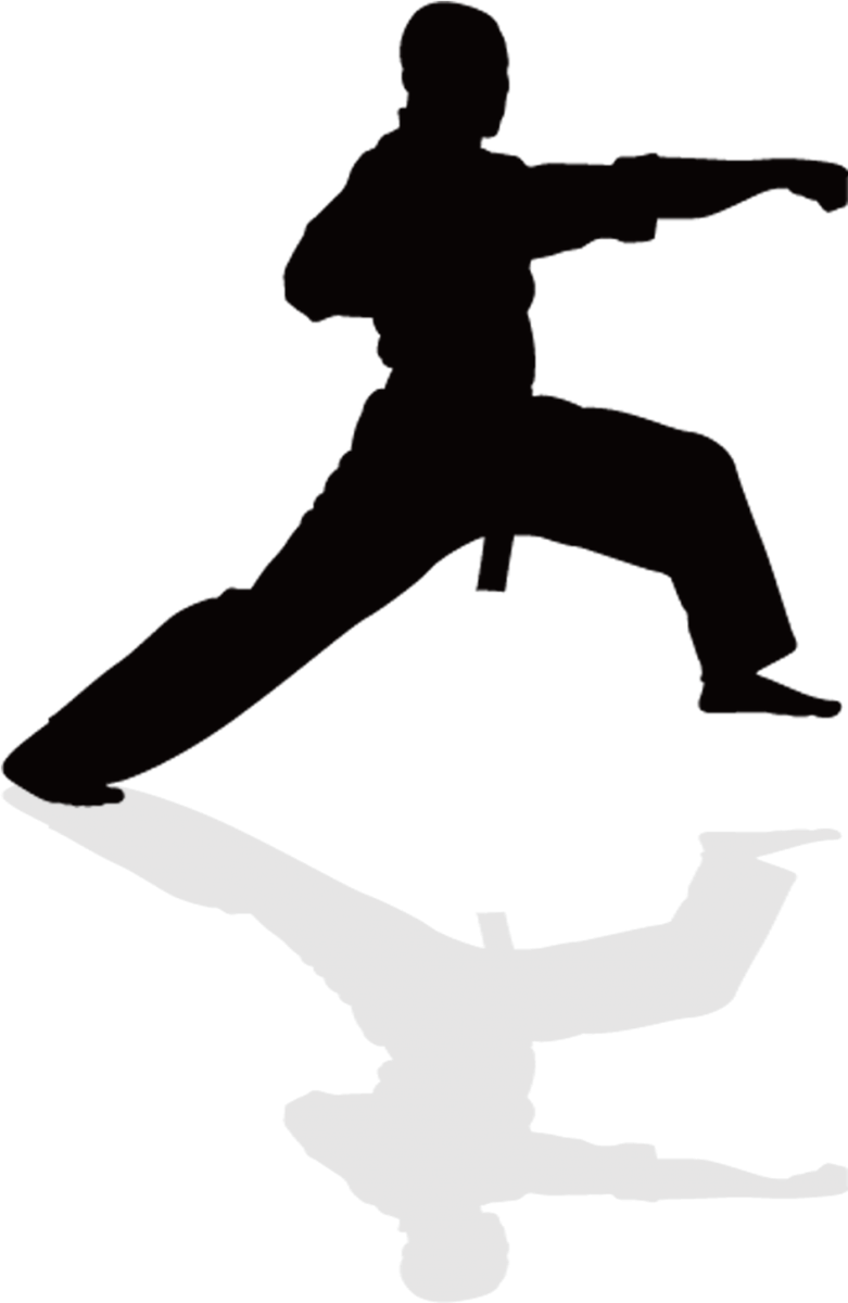 Каратист силуэт