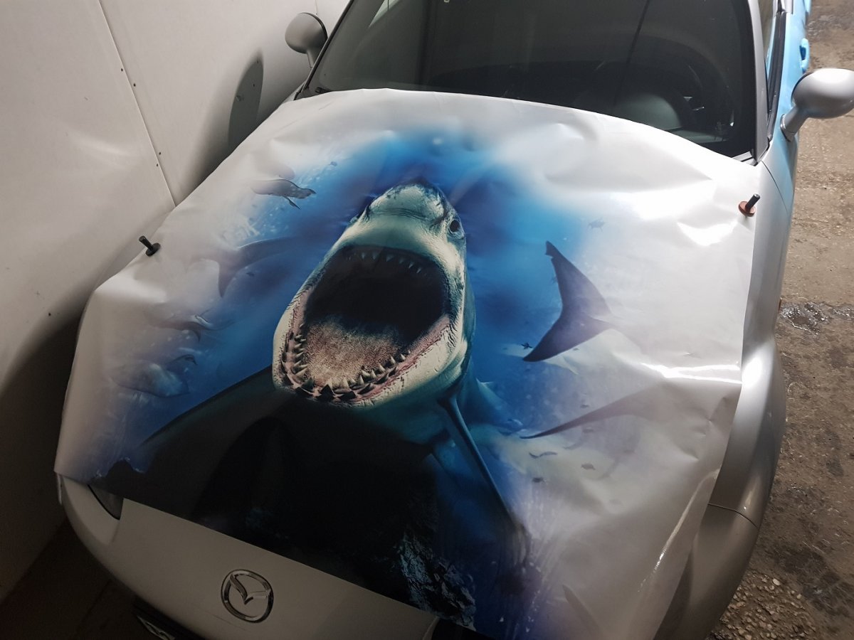 Машина в виде акулы