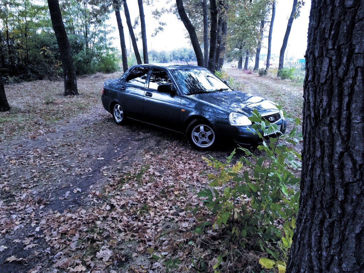 Приора универсал жимолость