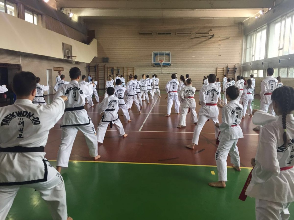Тхэквондо ITF