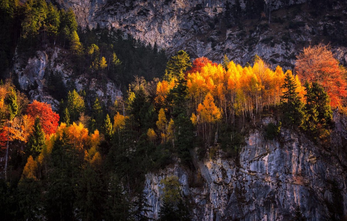 Осень горы лес