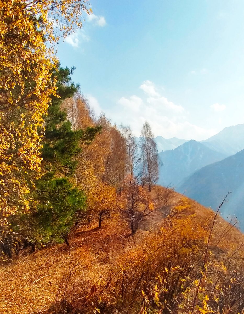 Тавуш горы осень