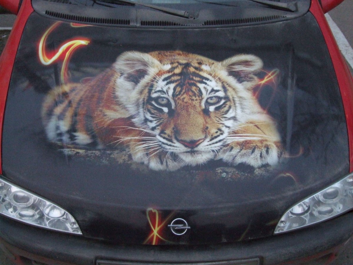 Аэрография Новогодняя тигр на авто