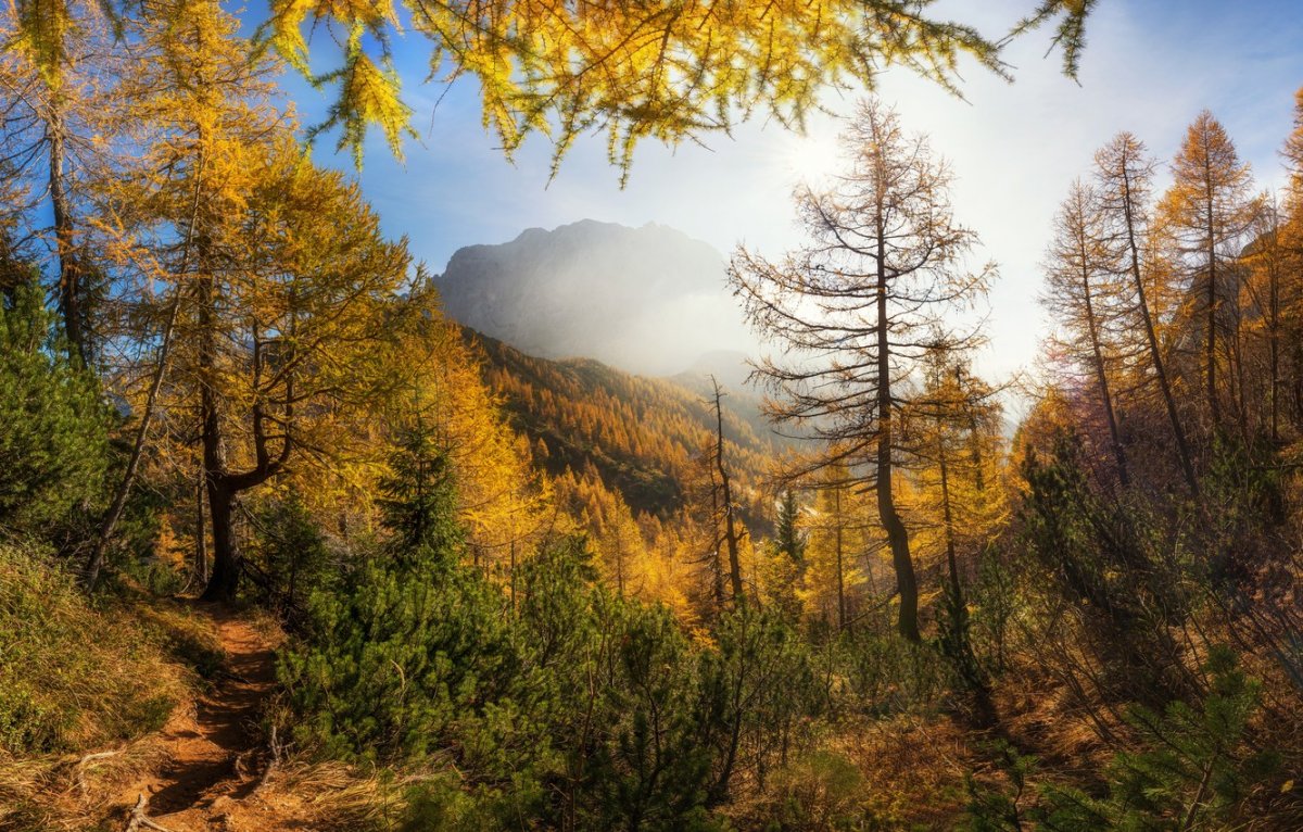 Осенний пейзаж