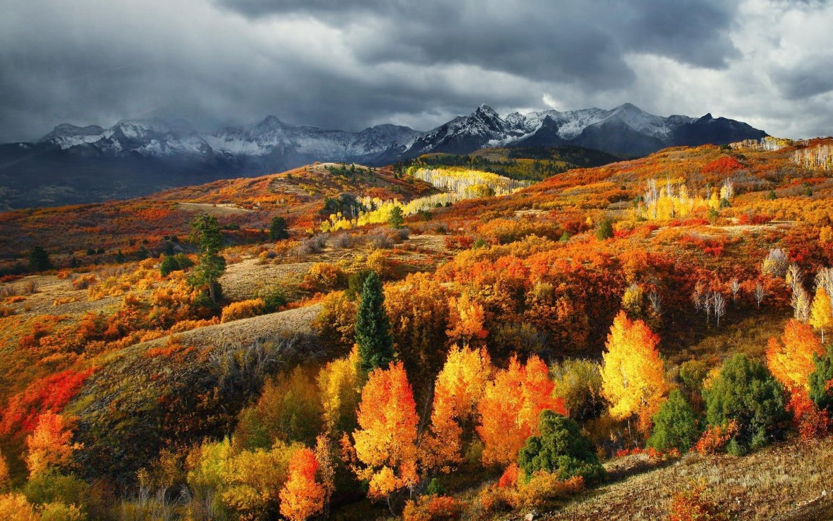 Осень горы лес