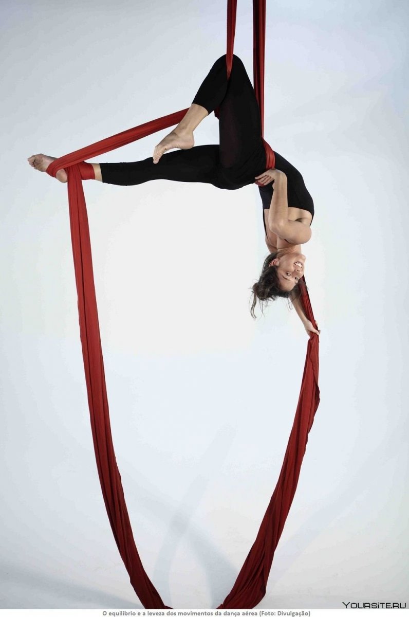 Воздушная акробатика