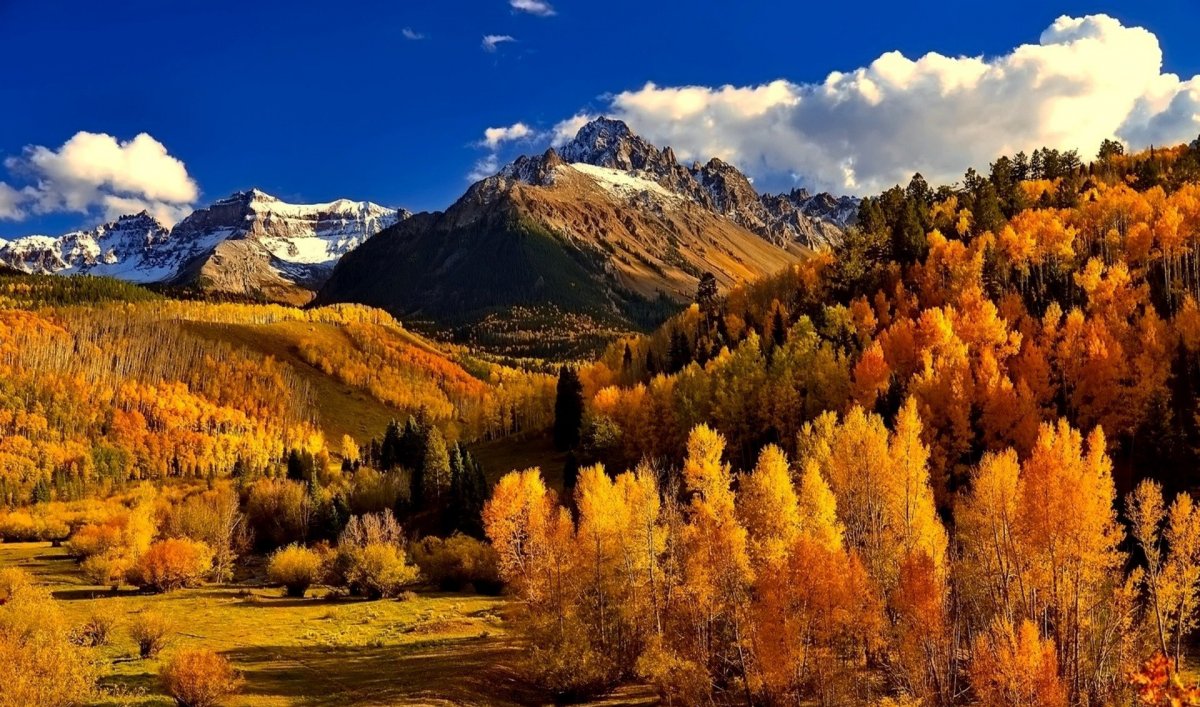 Осенний лес в горах