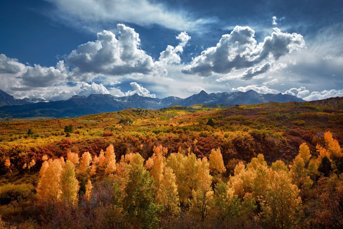 Осень горы лес