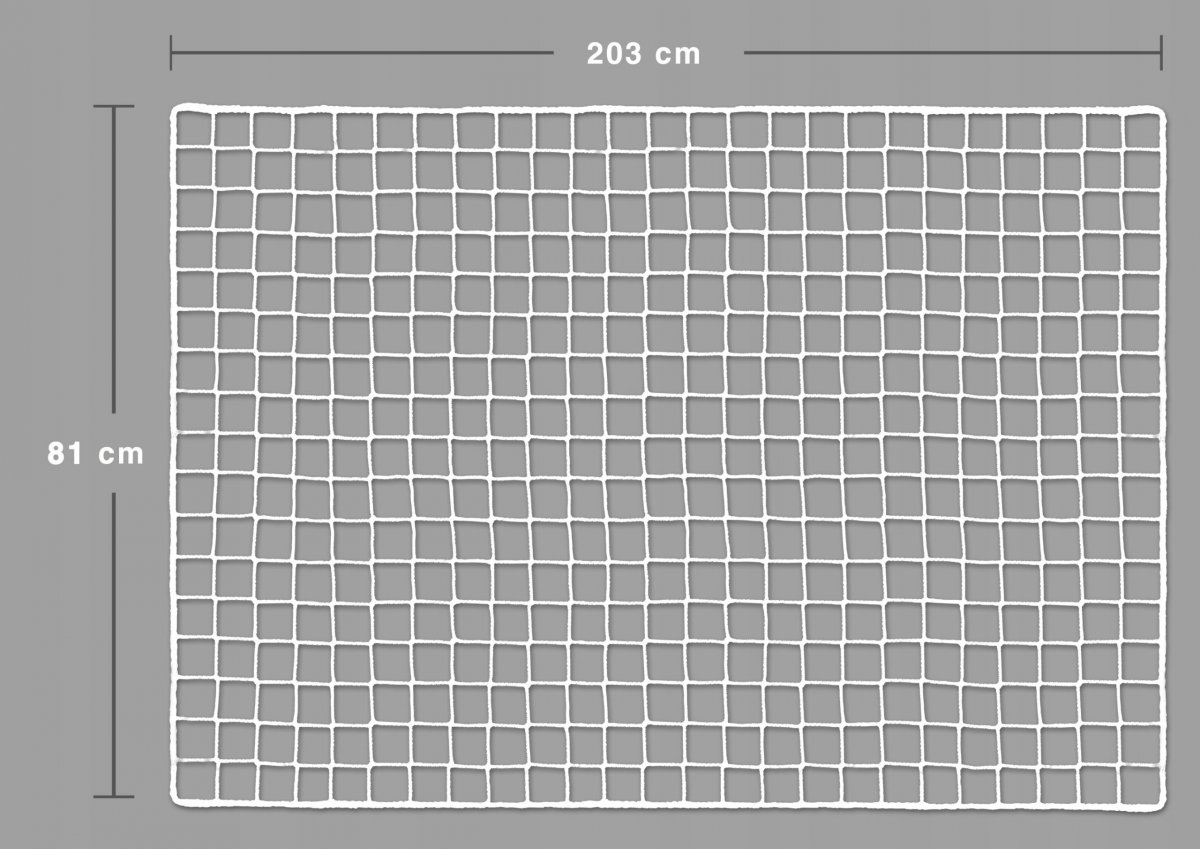 The Safety net