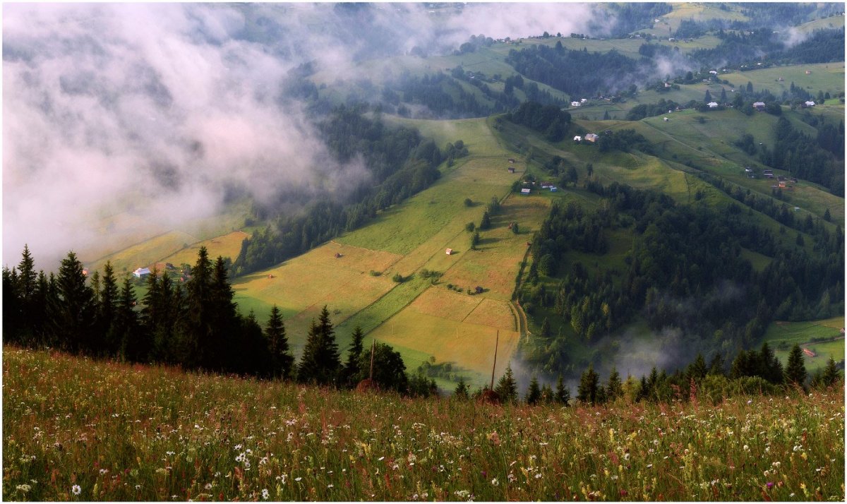 Карпаты Румыния холмы туман