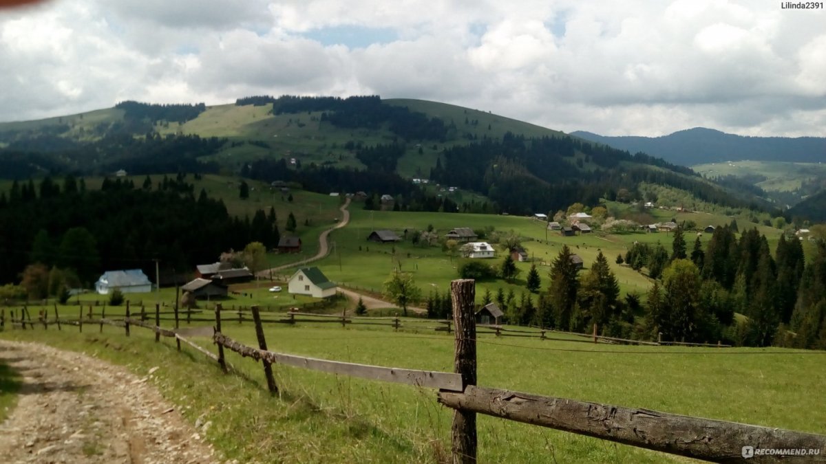 /Лошади в горах Карпаты осень
