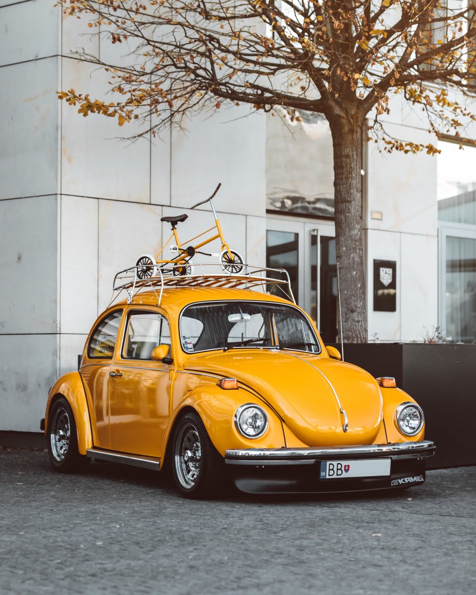 Volkswagen Beetle Жук
