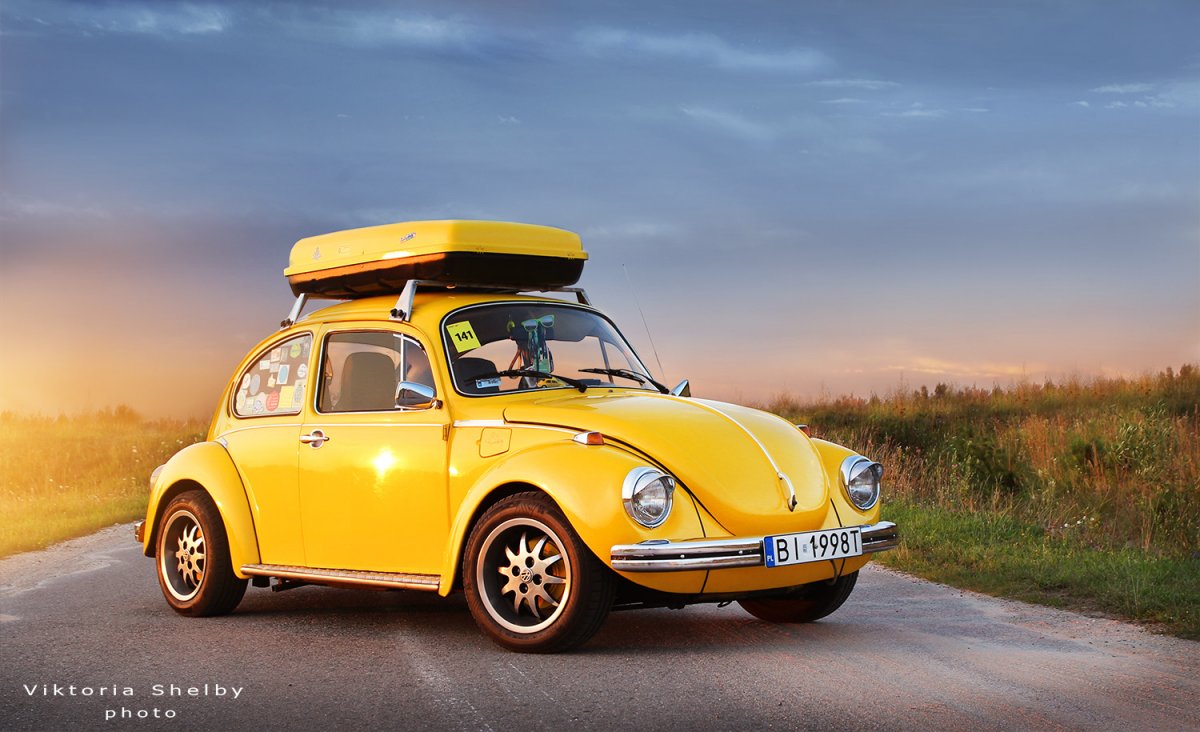 Volkswagen Beetle багажник