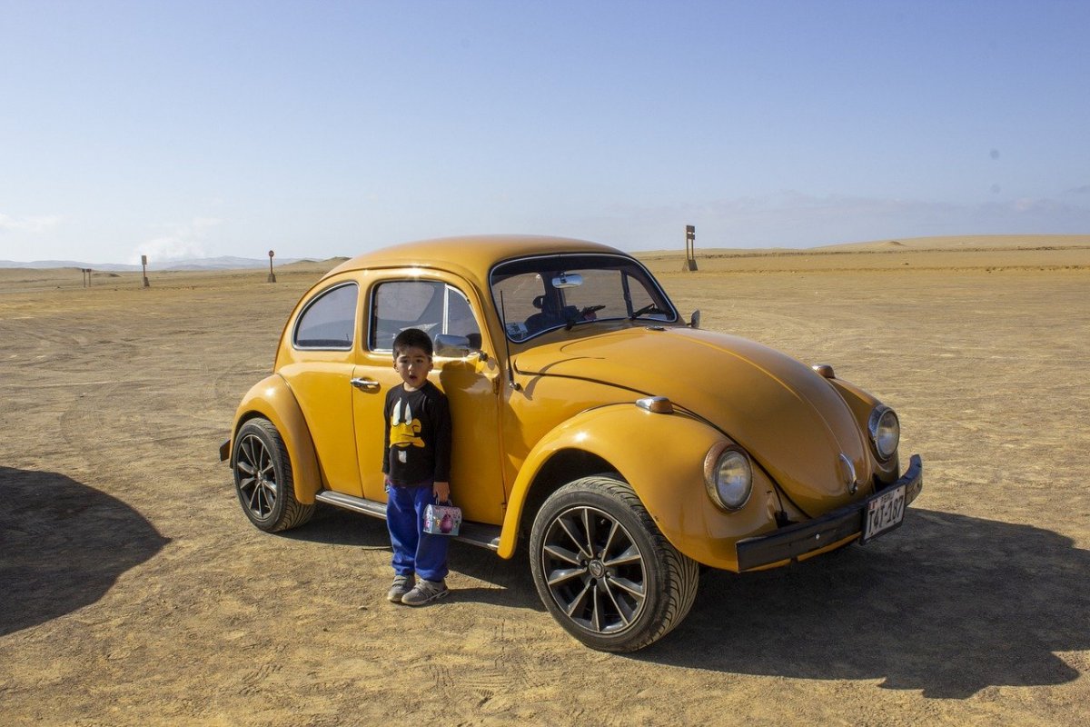 Жук машина Фольксваген 2020