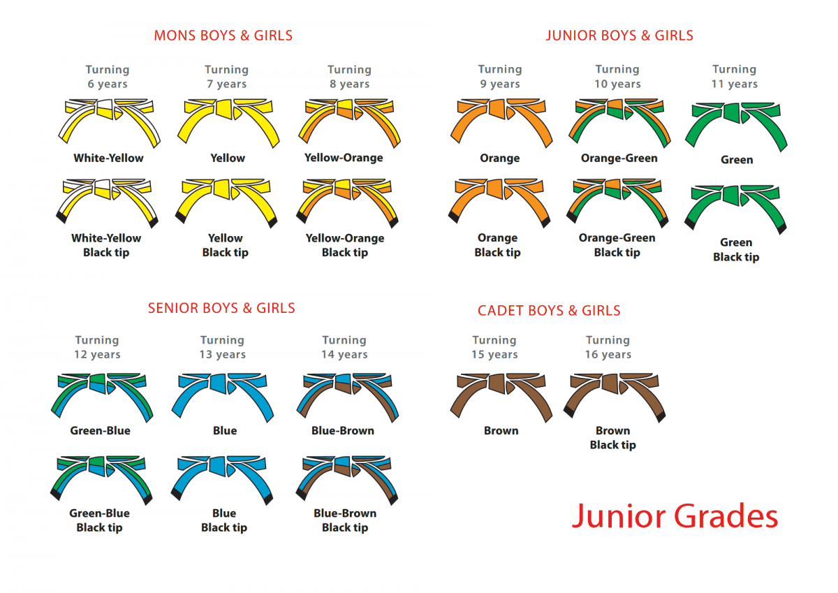 Оранжевый пояс дзюдо мизуно