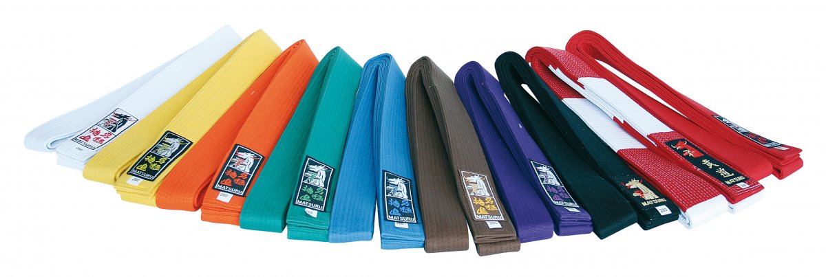 Каратэ киокусинкай пояса