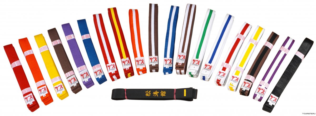Карате разноцветный пояс