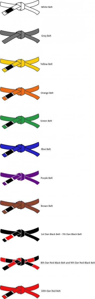 Пояса в дзюдо