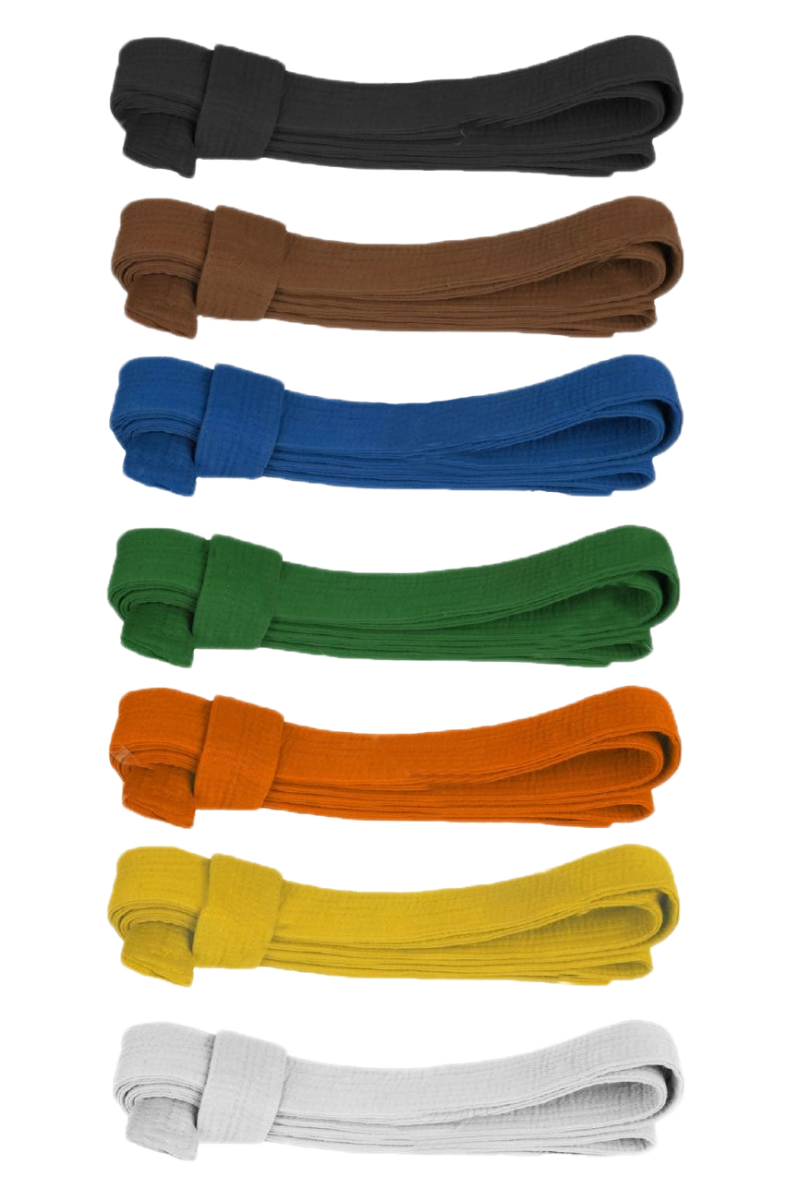 Karate Print Art Belt