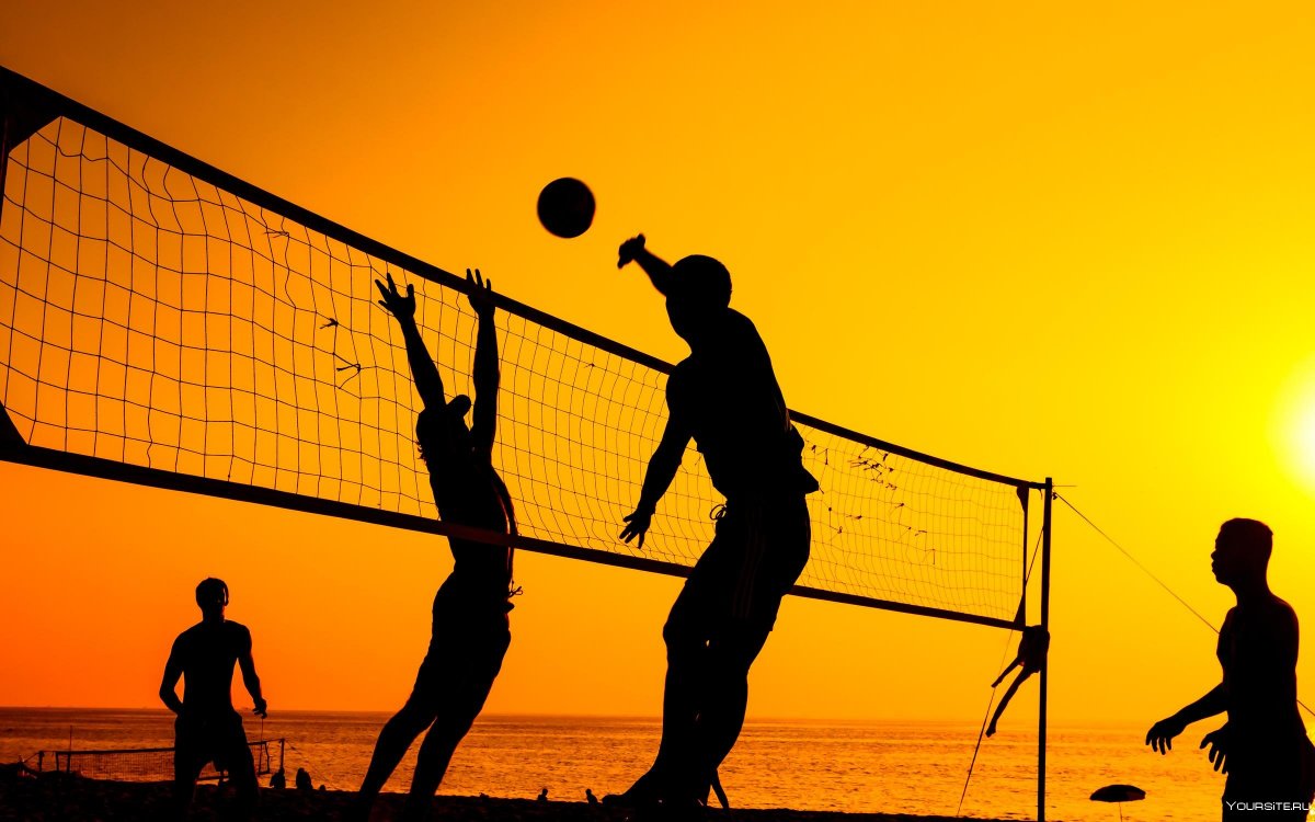 Сетка для волейбола Volleyball net