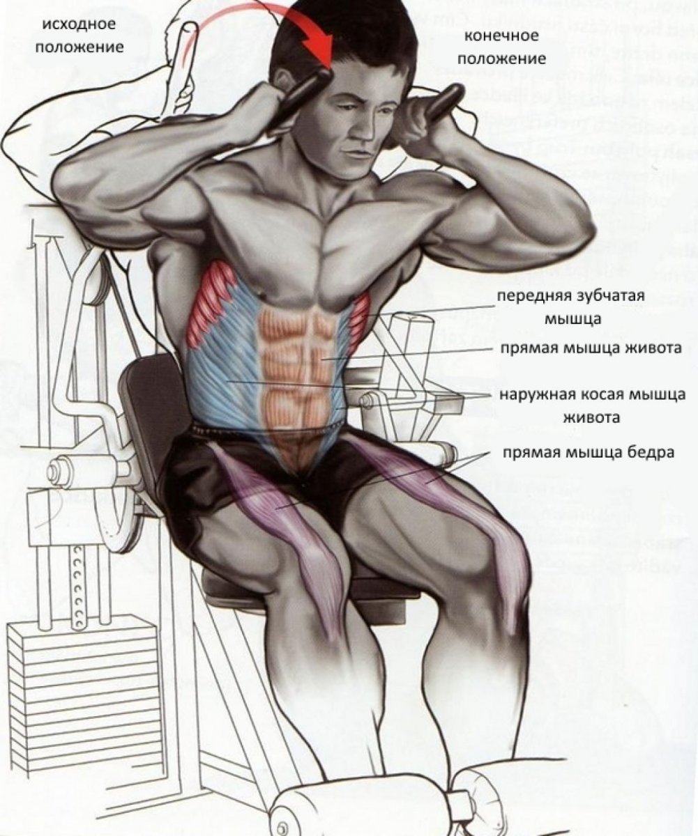 10 мин тренировки брюшной пресс и косые мышцы