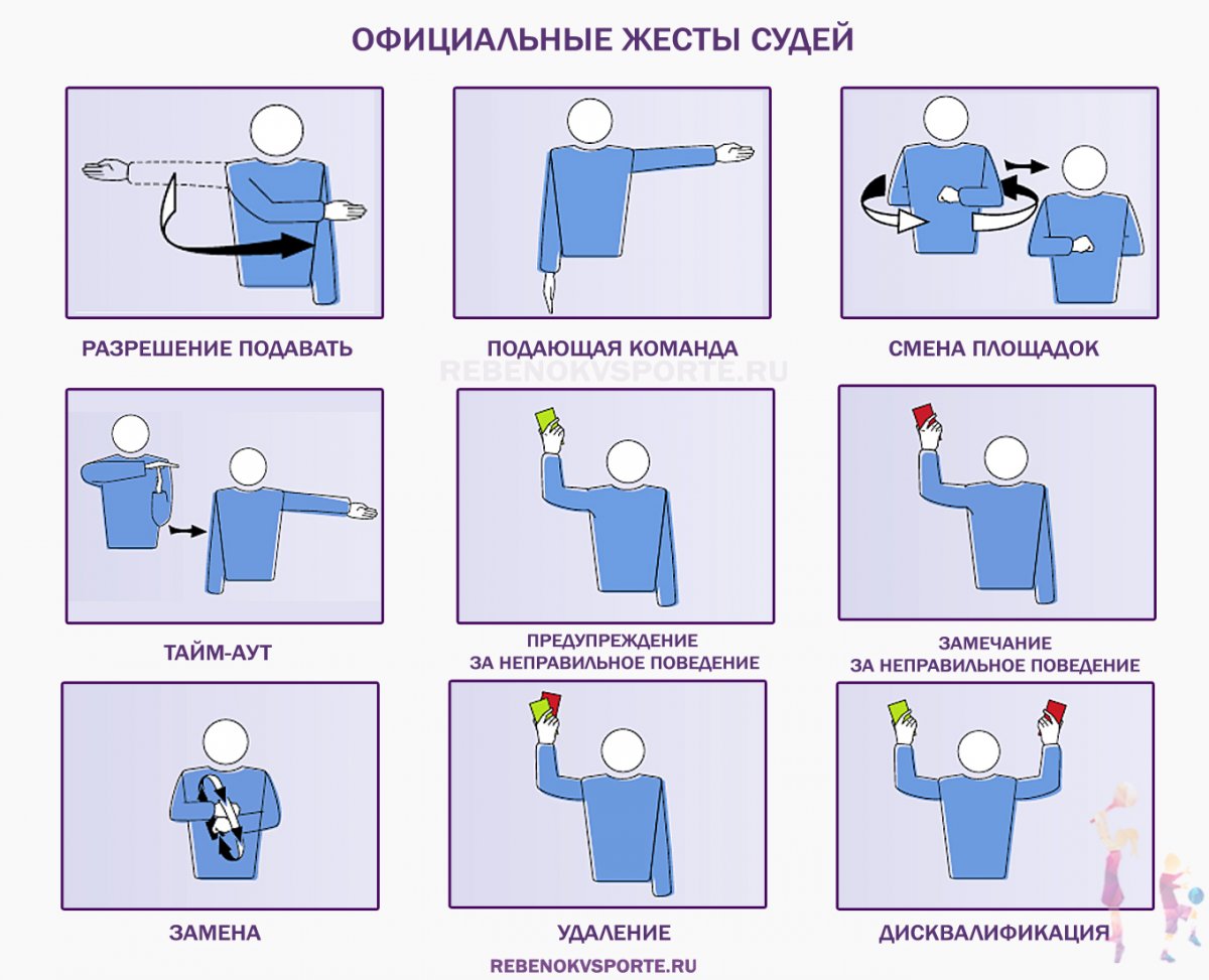 Жесты судьи в волейболе