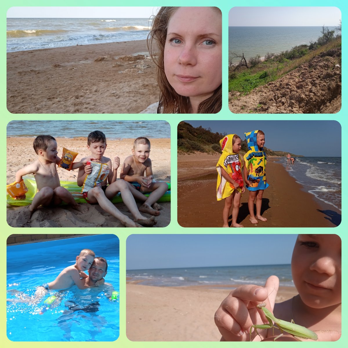 Кучугуры креветки