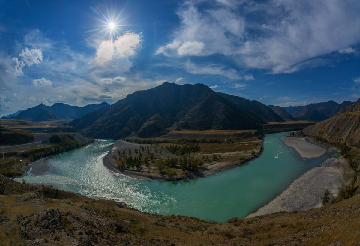 Алтай кушагач