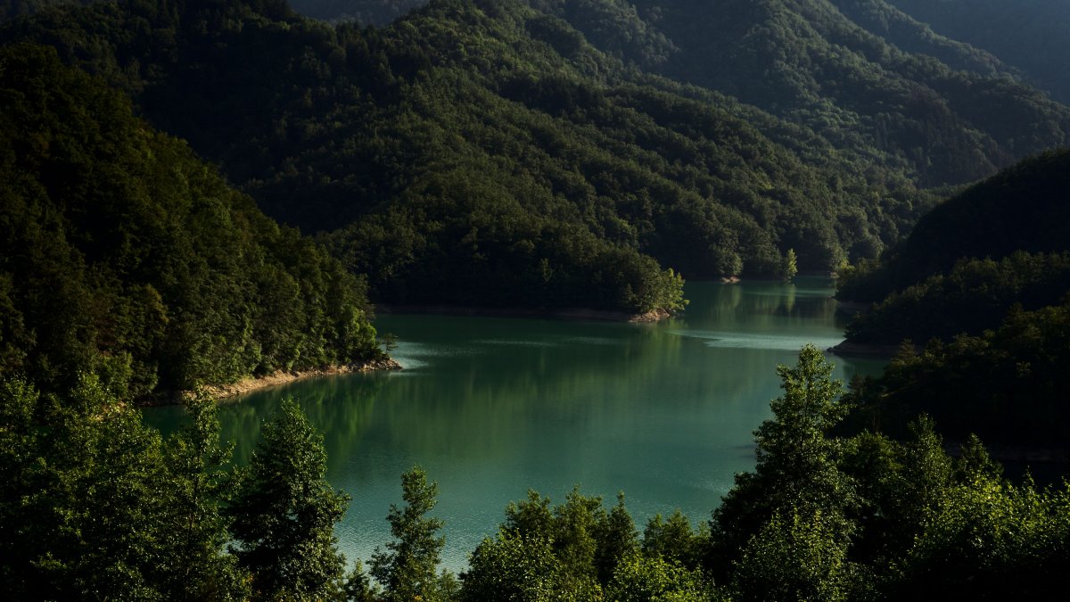 Озеро большая Рица Абхазия