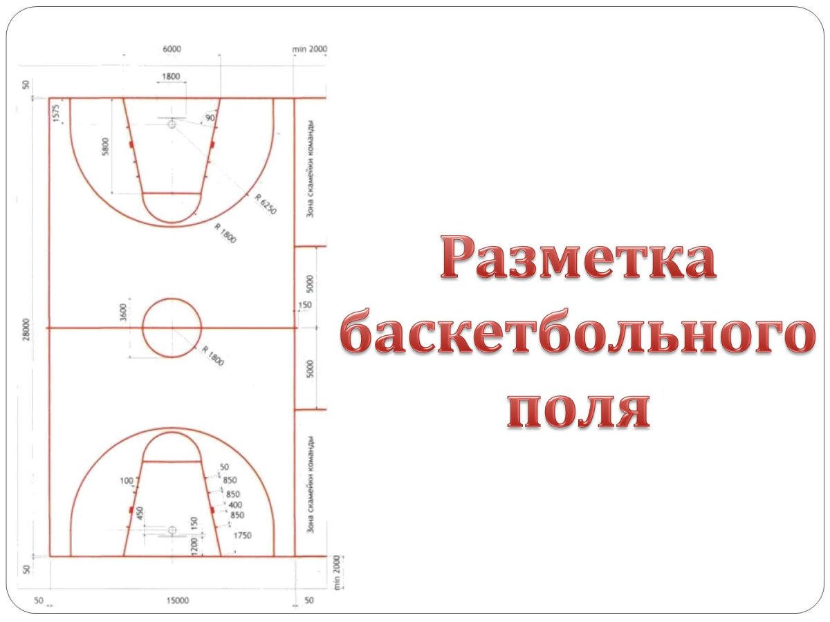 Позиции в баскетболе