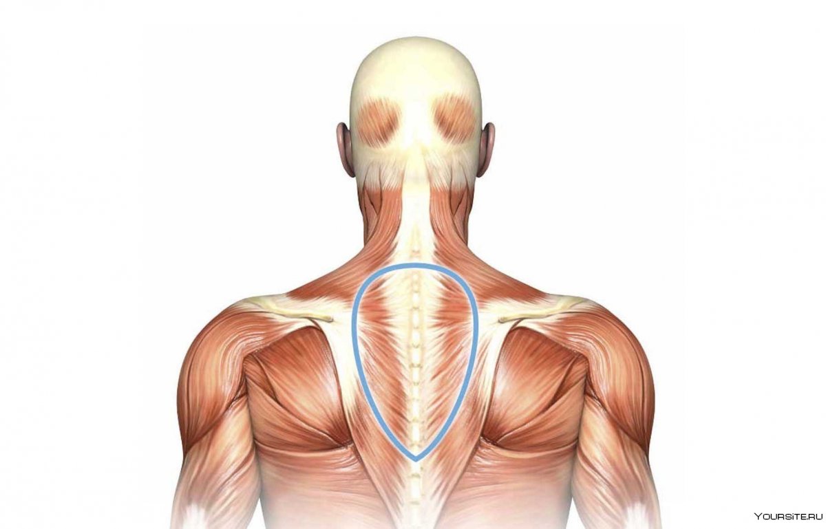 Триггерные точки Trigger points