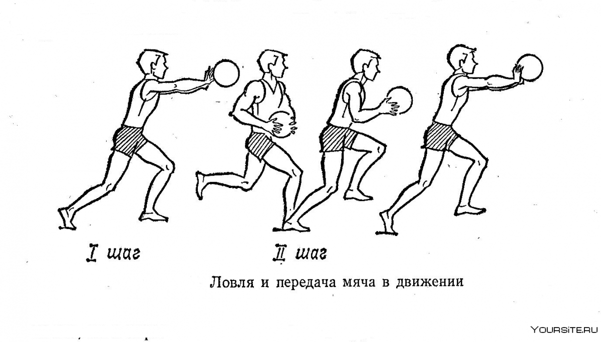 Техника передачи мяча в движении в баскетболе