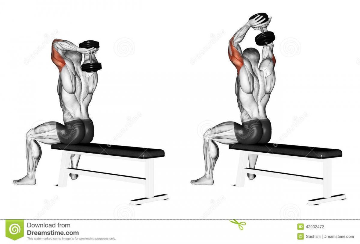 Lying Barbell Triceps Extensions