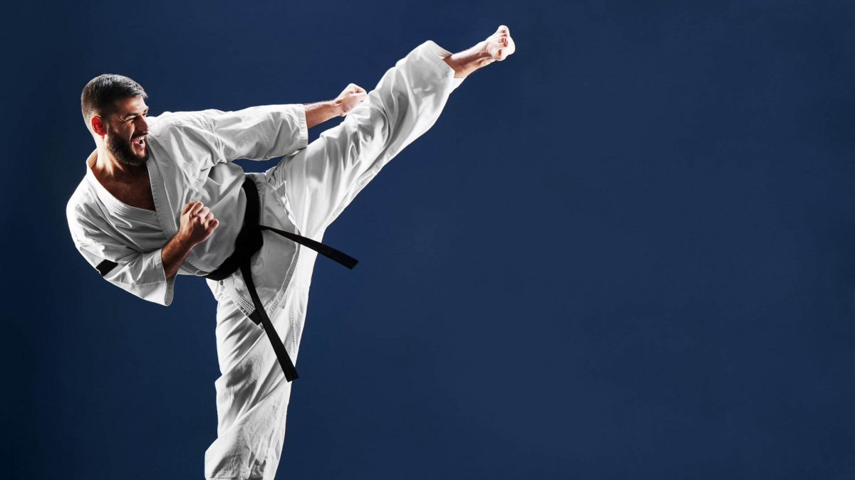 Karate Master 2: Knock down blow