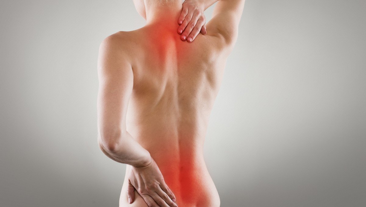 M Latissimus Dorsi прикрепление