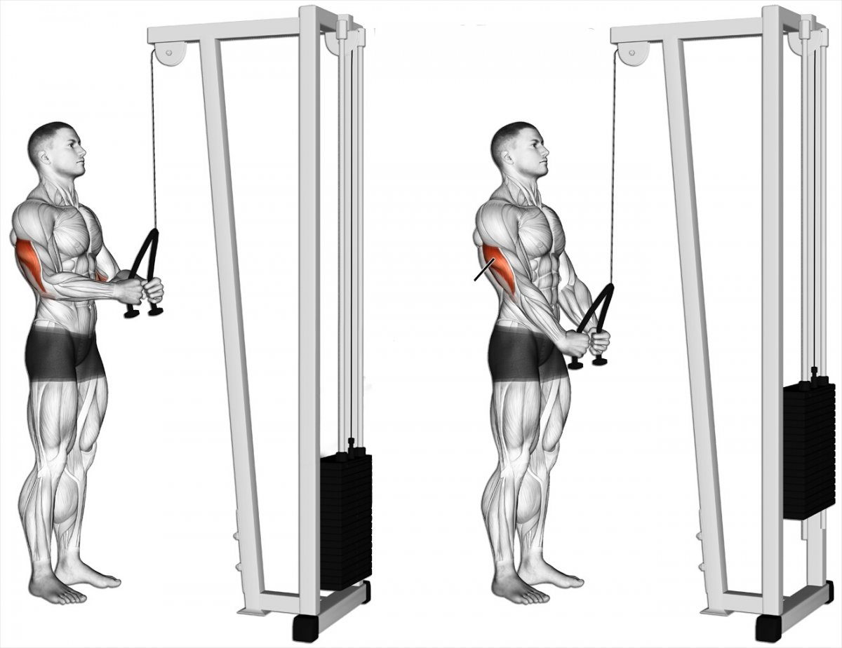 Тяга верхнего блока широким хватом