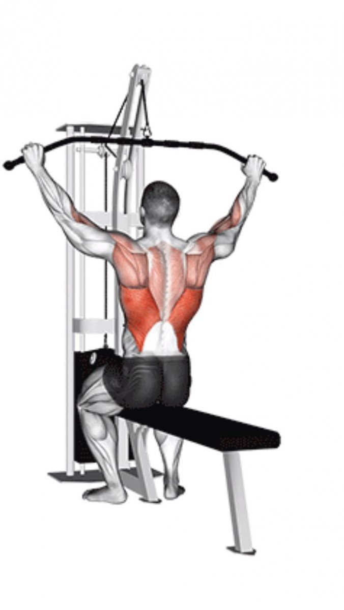 Cable Triceps Pushdown