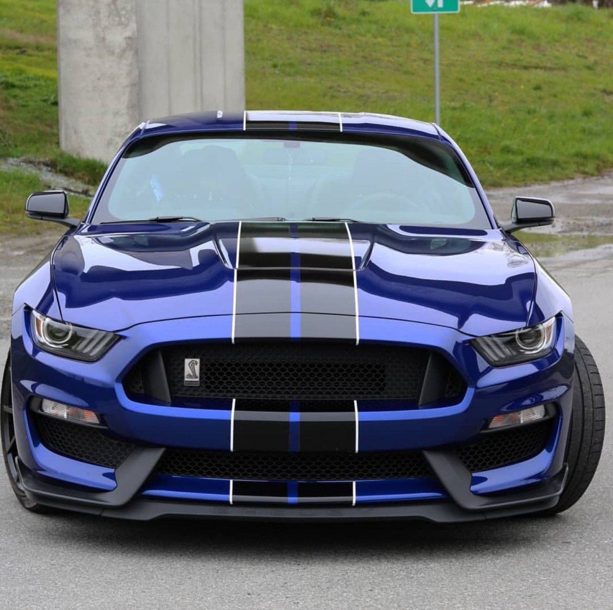 Форд Мустанг gt 350