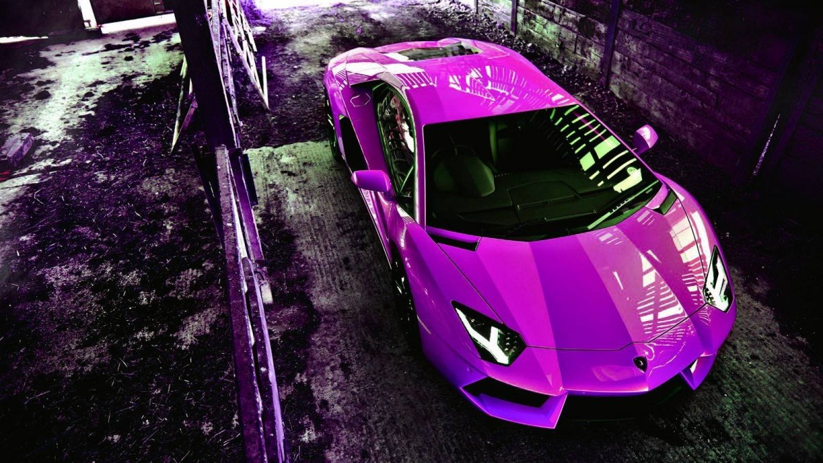 Purple Lamborghini Lurkin
